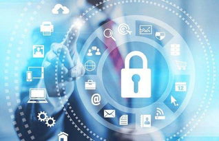 未來十年依舊熱門的四大工科專業(yè) 網(wǎng)絡安全與軟件開發(fā)引領科技浪潮